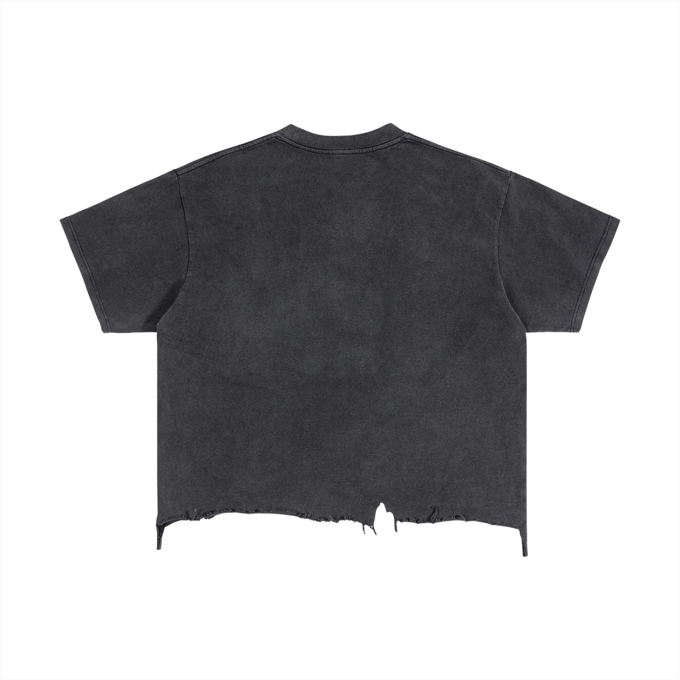 SZN 1 "R&D" T-Shirt